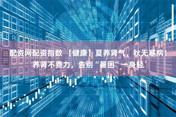 配资网配资指数 【健康】夏养肾气，秋无寒病！养肾不费力，告别“暑困”一身轻